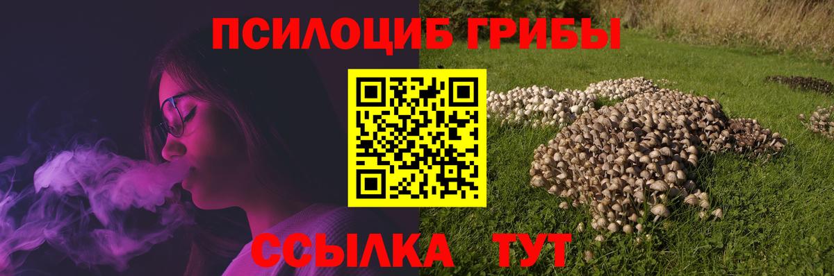 Галлюциногенные грибы Magic Shrooms Электросталь