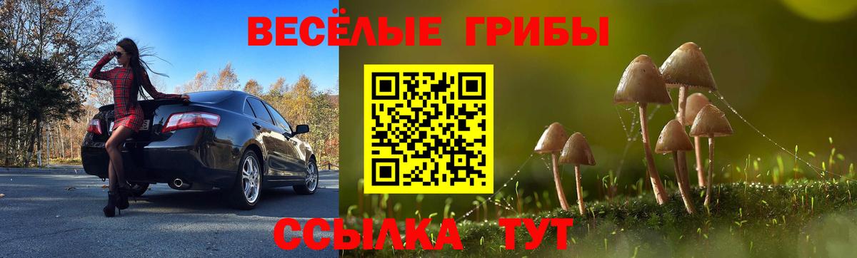 Электросталь  Галлюциногенные грибы ЛСД  наркота  Галлюциногенные грибы Magic Shrooms  Вход с VPN 
