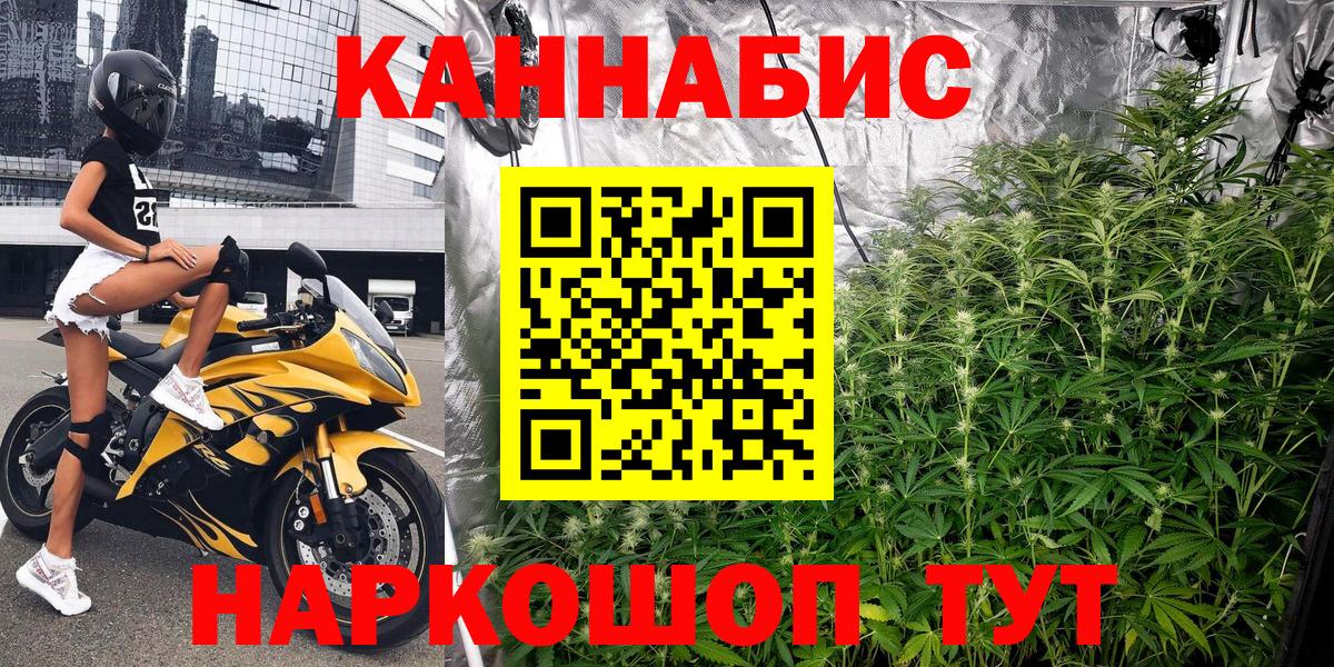 Бошки Шишки гибрид  Вход с VPN  Электросталь  Конопля план 
